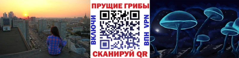 Галлюциногенные грибы мицелий это формула Балтийск