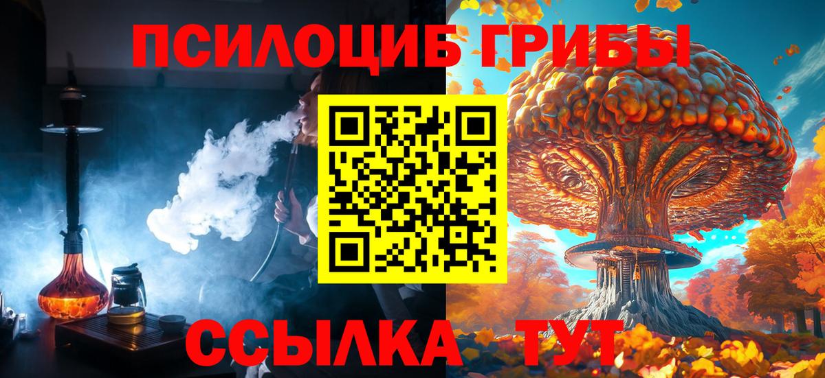 Галлюциногенные грибы Cubensis  Балтийск  Галлюциногенные грибы Cubensis 