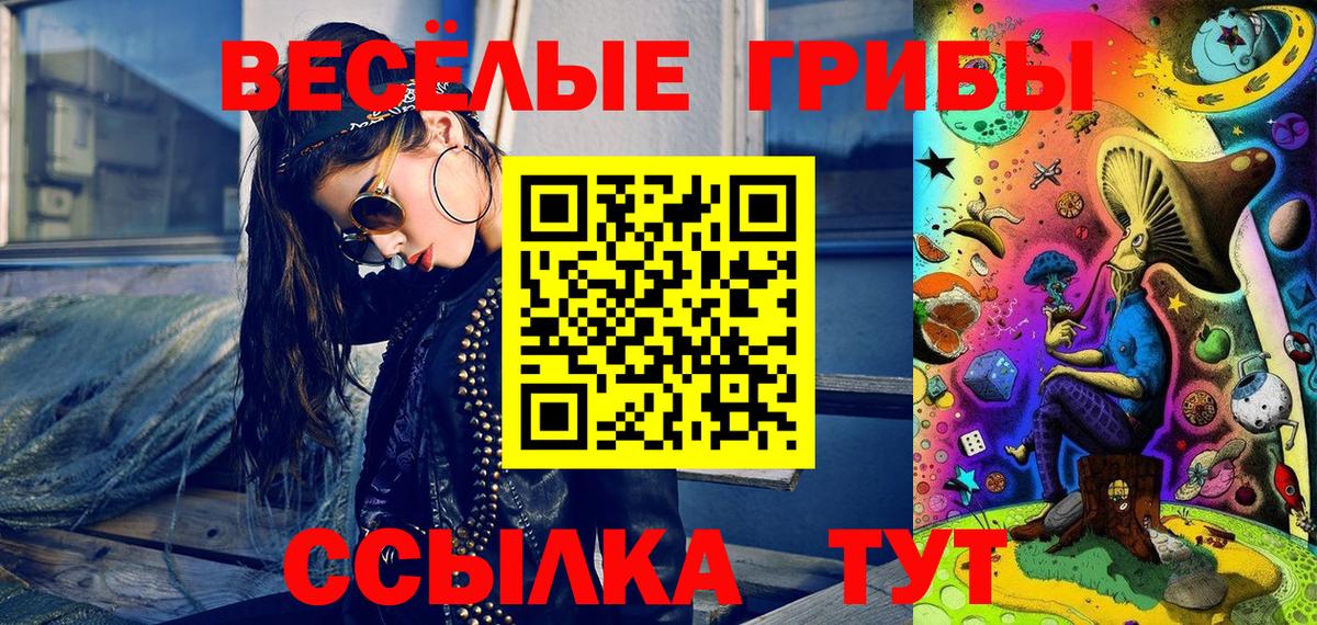 Псилоцибиновые грибы мицелий Балтийск